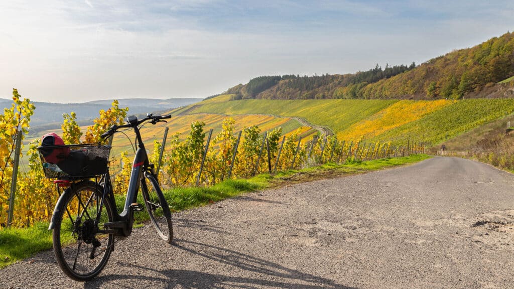 Radfahren an der Mosel – Genuss auf zwei Rädern