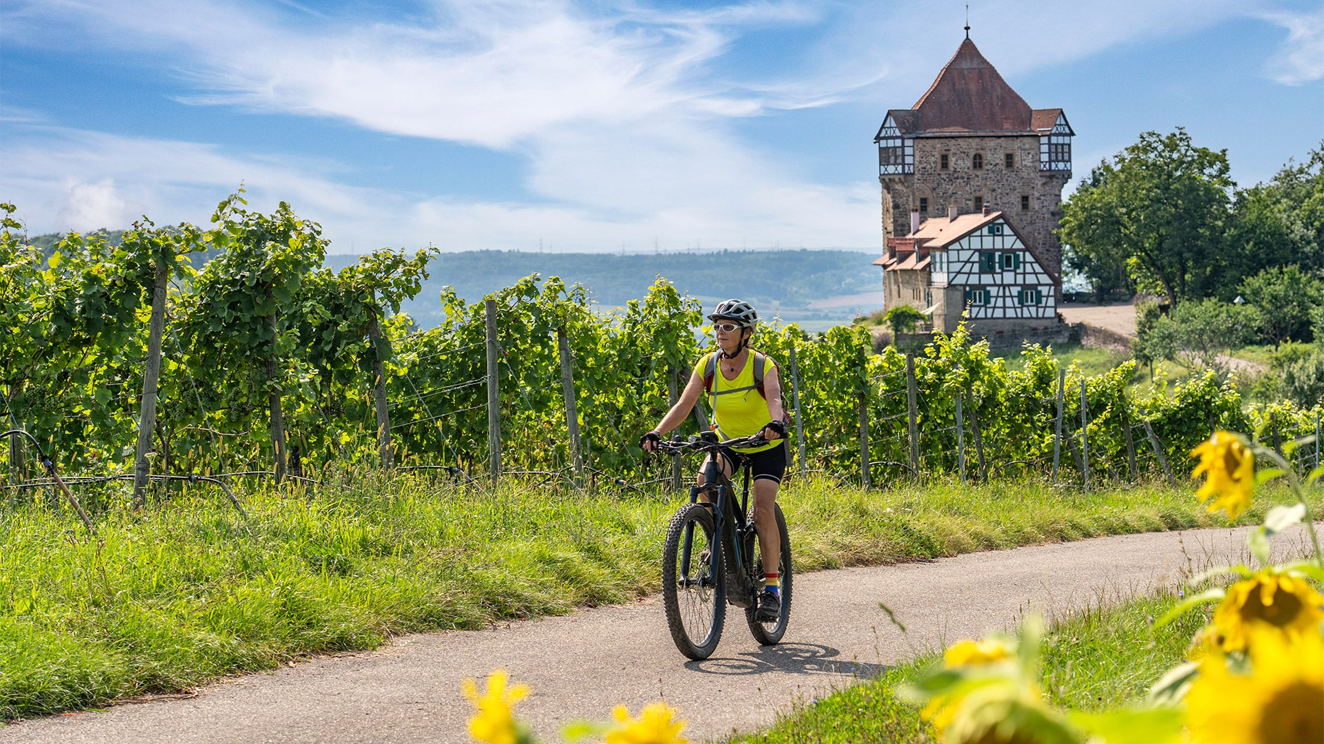 Wandern an der Mosel